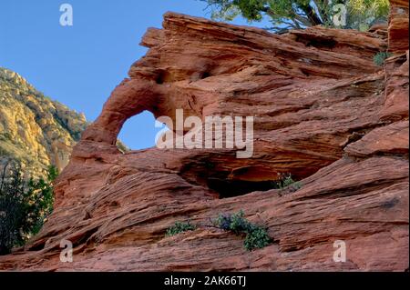 Un arco di pietra arenaria finestra lungo il sentiero che conduce alla vetta del camino di roccia in Sedona in Arizona. Foto Stock