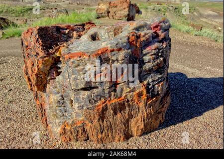 Un pezzo di legno cristallizzato in Arizona la foresta pietrificata. Foto Stock