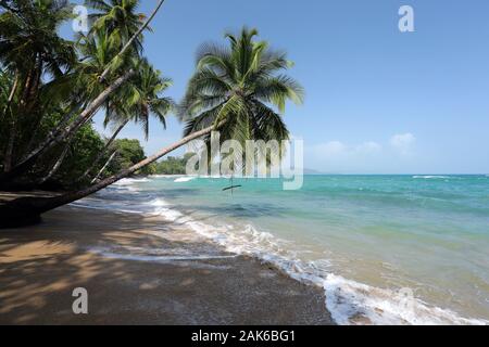 Provinz Limon: Playa Punta Uva im Nationalen Tierschutzgebiet Gandoca-Manzanillo (Refugio Nacional de Vida Silvestre Gandoca-Manzanillo), Costa Rica | Foto Stock