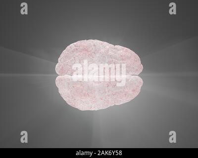 Cervello umano modello. Il rendering 3D Foto Stock