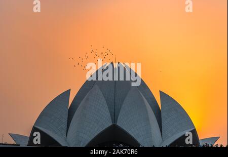 Primo piano di Exterior of the Lotus Temple, situato a Delhi, India, è una í'Bahá Casa Di Culto che è stato dedicato nel dicembre 1986. Foto Stock