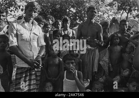 Segatura di legname, Sandwip Foto Stock