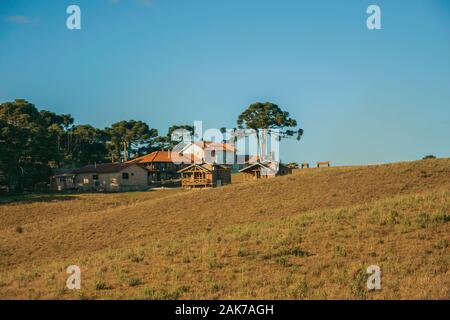 Case in legno sulla sommità di una collina ricoperta da pini e cespugli di secco vicino Cambara do Sul. Una città con una naturale Attrazioni turistiche nel sud del Brasile. Foto Stock