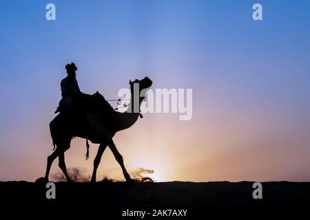 Silhouette di un uomo su un cammello nel deserto di Thar, Rajasthan, India Foto Stock