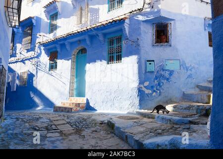 Un gatto solitario nella strada ombreggiata e un muro illuminato dal sole di costruzione nella medina di Chefchaouen (noto anche come Chaouen), Marocco Foto Stock