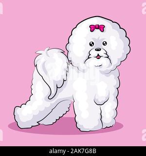 White Bichon Frize dog isolato a un colore di sfondo Illustrazione Vettoriale