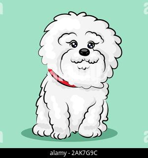 White Bichon Frize dog isolato a un colore di sfondo Illustrazione Vettoriale