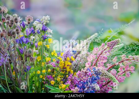 Un grande mazzo di diversi fiori selvatici di delphinium blu, Fiordaliso, Buttercup su una soleggiata giornata estiva. Copia dello spazio. Foto Stock