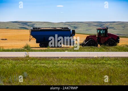 Un grande e moderno trattore con due tracce continue è visto dal lato, agganciati ad un rimorchio la raccolta di mais dorato da un campo di coltivazione, con spazio di copia Foto Stock