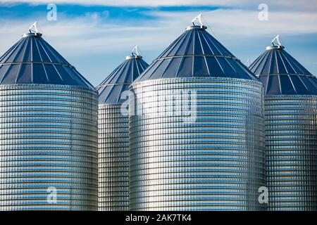 Moderno e pulito di cereali alla rinfusa silos di stoccaggio sono visti in una grande fattoria in Alberta, Canada. Scorte di grano, cereali, frumento, mais, riso in torri di metallo Foto Stock