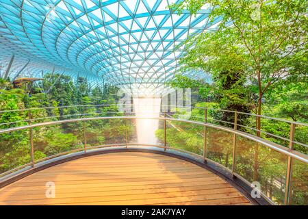 Singapore - 8 Agosto 2019: scenic pioggia Vortice, il più grande del mondo di cascata al coperto circondato da una a quattro piani forestali a schiera in Jewel Changi Airport Foto Stock