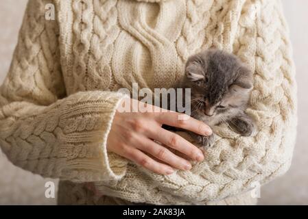 Donna che mantiene il suo gatto a strisce. Strisce grigie gattino gioca con mano femminile in un maglione beige. casa accogliente, animali domestici, poco carino striped fluffy cat. Foto Stock