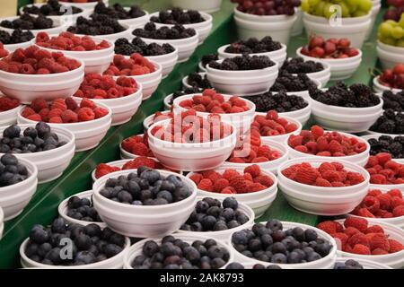 Bianco i contenitori in polistirolo espanso con appena raccolto mirtilli, lamponi e more per la vendita in un mercato all'aperto. Foto Stock