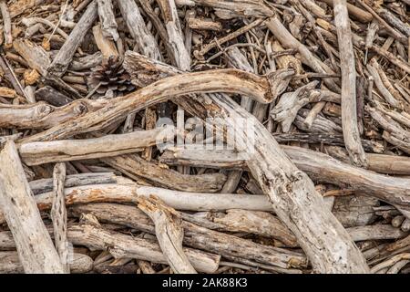 Driftwood sulla spiaggia, sfondo astratto naturale texture grunge, natura costiera sfondo, Drift legno proveniente dal mare sulla spiaggia mare. Foto Stock