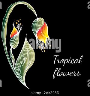 Piatti disegnati a mano fiori tropicali isolati su sfondo nero. Illustrazione Vettoriale. Esotiche piante tropicali. Gli elementi di design. L'arte astratta sfondo. Illustrazione Vettoriale