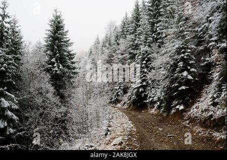 Sito di restauro alpino Draxin in Fagaras Mountains Romania. Foto Stock
