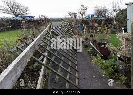 Teesdale, County Durham, Regno Unito. 8 gennaio 2020. Regno Unito Meteo. Danni a un giardino dopo gale force winds hit nord-est Inghilterra durante la notte. Credito: David Forster/Alamy Live News Foto Stock