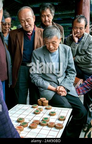 Gli uomini che giocano a scacchi cinesi / Xiangqi, Tempio del Paradiso Park, Pechino, Cina Foto Stock