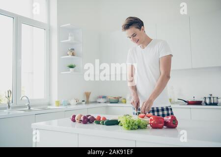 Ritratto di sua egli bella attraente bella carino allegro allegro guy rendendo farm vegano insalata di prodotto a luce bianca in stile moderno hotel interni interni Foto Stock