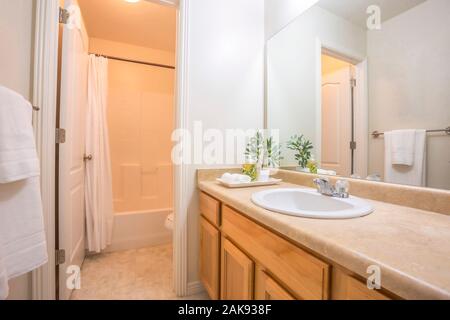 Moderno bagno interno con pareti bianche e vista della vasca da bagno wc e vanità Foto Stock
