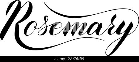 Vector scritto a mano il rosmarino isolato di testo su sfondo bianco. Cucina sana le erbe e le spezie per cucinare. Script brushpen lettering con flourishe Illustrazione Vettoriale