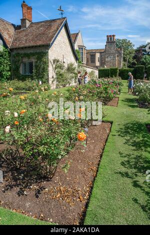 Anglesey Abbey, vista del giardino di rose di Anglesey Abbey, un secolo XVII country house nel villaggio di lode, Cambridgeshire, Inghilterra, Regno Unito. Foto Stock