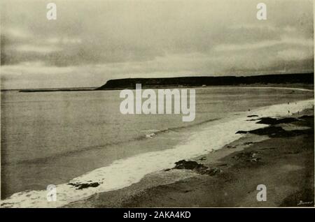 Swansea, Mumbles & il Gower CoastOfficial guida album . ormerlv Singleton .-^bbey e la sede della famiglia Vivian.Il magnifico parco di 249 acri di terreno che circondano il mansion è grandly situato sullato rive della Baia di Swansea e si distingue per il bellissimo display di rhododendronsin estate ; trentaquattro ettari di questo parco sono stanziati per l'utilizzodelle College. L'University College of Swansea è uno dei quattro collegi costituente di theUniversity del Galles, gli altri tre essendo a .-Xberystwyth, Cardiff e Bangor.Swansea è quindi una città Uniersity e tutti qualificati uomini e donn Foto Stock