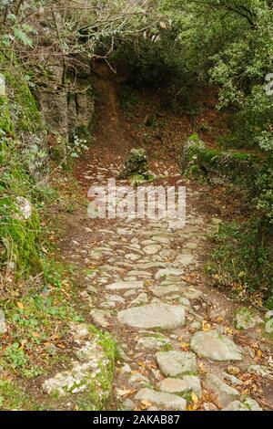 Meteora, Grecia - 19 DIC 2019: sentiero escursionistico a Meteora,Grecia Foto Stock