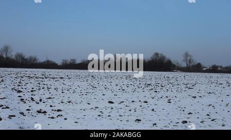 Fantastici colpi freddi invernali nel campo di campagna, bella neve e bel cielo blu Foto Stock