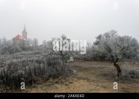 Frosty alberi e cespugli intorno alla chiesa di Sajopuspoki su una giornata invernale in Ungheria. Foto Stock