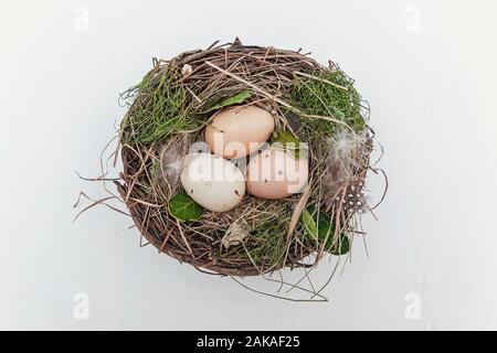 Decorazione di pasqua con uova nel nido con moss su rustiche in legno bianco sullo sfondo. Concetto di pasqua. Flat Top laici copia vista spazio. Molla della scheda Messaggi di saluto Foto Stock