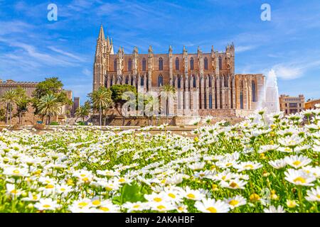 Vista sulla Cattedrale La Seu, Mallorca Spagna Spain Foto Stock