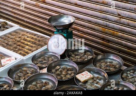 Vongole sul mercato di frutti di mare, vongole sul mercato del pesce Foto Stock