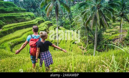 Giovane om Tegalalang riso Terrazza campi e alcune palme tutto intorno, Ubud, Bali, Indonesia Foto Stock