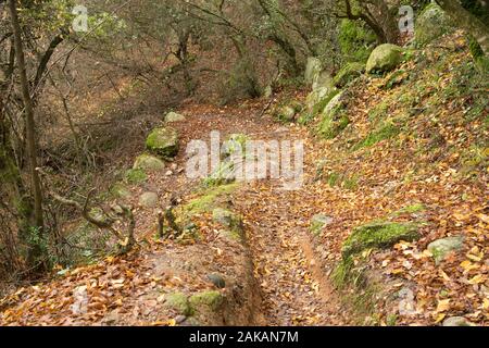 Meteora, Grecia - 19 DIC 2019: sentiero escursionistico a Meteora,Grecia Foto Stock