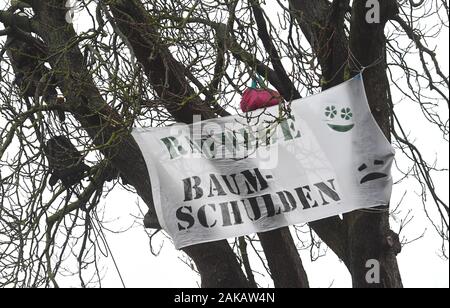 08 gennaio 2020, Meclemburgo-Pomerania, Neunkirchen: con un albero professione presso il distretto strada K 5, attivisti ambientali con il banner con la scritta 'Radwege, Baumschulden' (piste ciclabili, albero dei debiti) vicino a Greifswald protesta contro il taglio degli alberi lavora per l'estensione della costa del Mar Baltico pista ciclabile. Gli attivisti della giustizia climatica circolazione Greifswald desidera richiamare l attenzione al residuo di pianta del quartiere Vorpommern-Greifswald. Secondo la giustizia climatica movimento, vi è una mancanza di più di 4000 alberi lungo le strade del distretto nel distretto di Vorpommern Foto Stock
