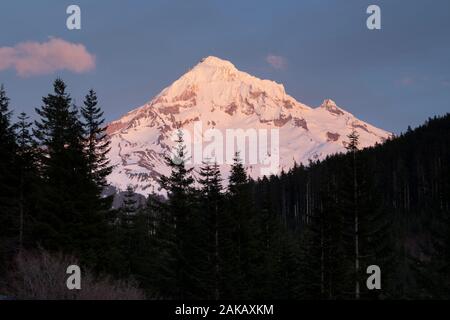 Vista del Monte Shasta, Siskiyou County, California, Stati Uniti d'America Foto Stock