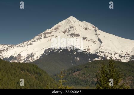 Vista del Monte Shasta, Siskiyou County, California, Stati Uniti d'America Foto Stock