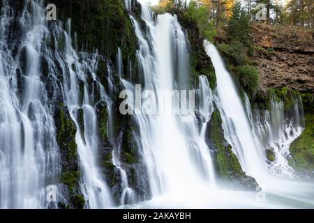 Vista della cascata, McArthur-Burney cade Memorial State Park, Burney, CALIFORNIA, STATI UNITI D'AMERICA Foto Stock