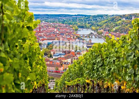 Città vecchia di Wurzburg vista dalla collina del vigneto, Baviera, la regione della Germania Foto Stock