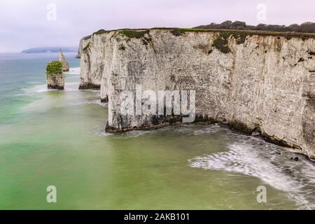 Cliff linea con formazioni di gesso vicino al Old Harry Rock, Purbeck, Dorset, England, Regno Unito Foto Stock