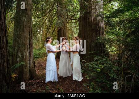 Tre ninfe donna nella foresta, Bainbridge Island, Washington, Stati Uniti d'America Foto Stock