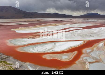 Una fotografia aerea di drone di Laguna Colorada nella regione altiplano della Bolivia Foto Stock