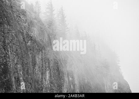 Vista della scogliera e alberi, Columbia River Gorge, Oregon, Stati Uniti d'America Foto Stock