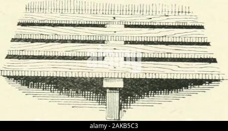 Latte, formaggio e burro, un manuale pratico sulle loro proprietà e i processi per la loro produzione . Fig. 34.-Farm Dairy caldaia-Secth. n,2 Latte, formaggio e burro. Foto Stock