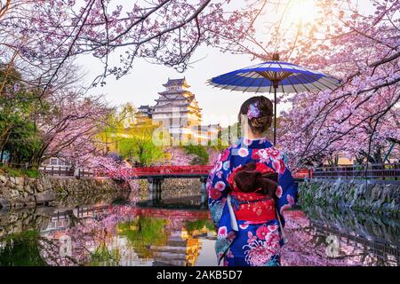 Donna asiatica indossando tradizionale giapponese kimono cercando di fiori di ciliegio e il castello di Himeji, Giappone. Foto Stock