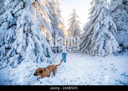 Giovane donna passeggiate con il cane tra bianco alberi coperti di neve fresca sulla soleggiata giornata invernale in montagna Foto Stock