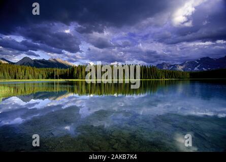 Paesaggio con Marl Lago e foresta sempreverde, Peter Lougheed Parco Provinciale, Alberta, Canada Foto Stock