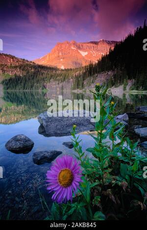 Paesaggio con l'Egitto sul lago e sulle montagne, il Parco Nazionale di Banff, Alberta, Canada Foto Stock