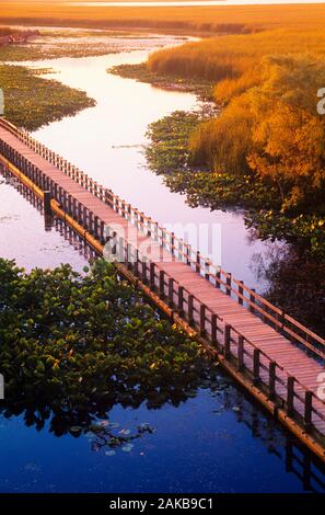 Paesaggio con boardwalk su marsh, punto Pelée National Park, Ontario, Canada Foto Stock